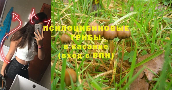 Альфа ПВП Горнозаводск